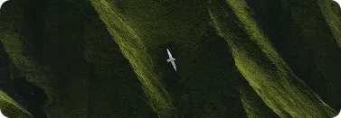 faq-background